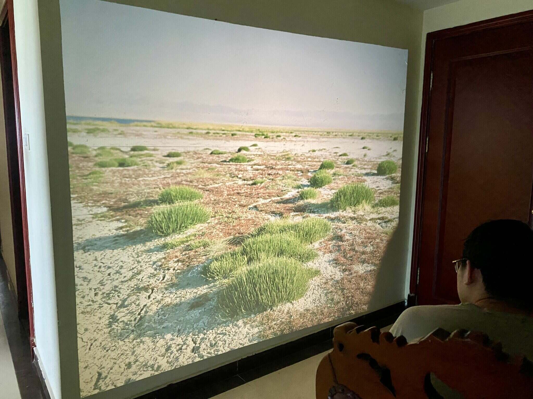 Mamiya RB67+ sekor C 50