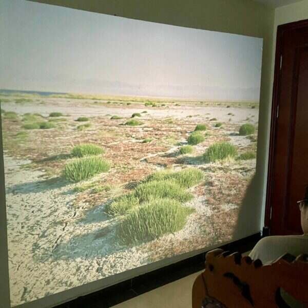 Mamiya RB67+ sekor C 50 Mamiya RB67+ sekor C 50