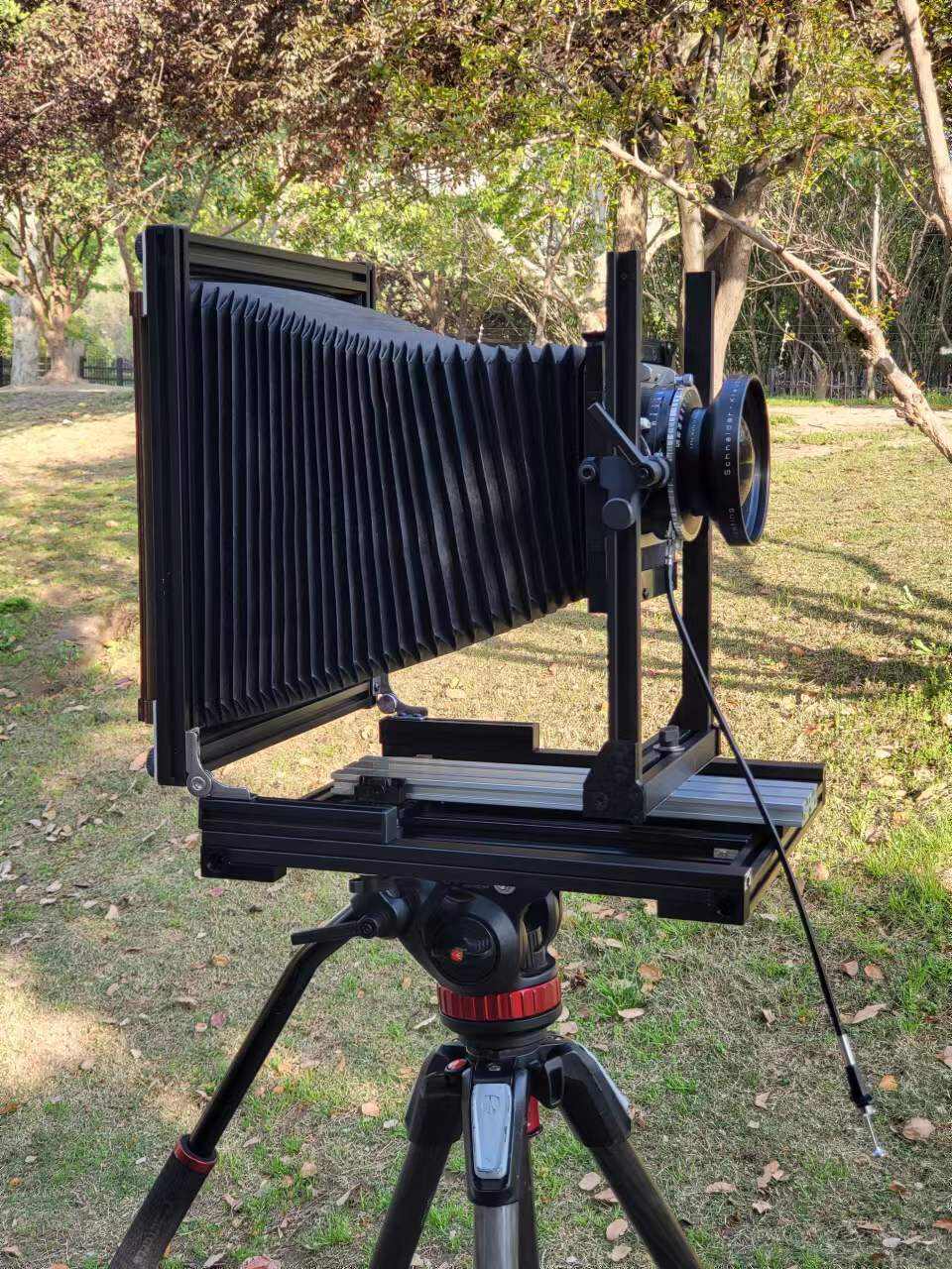 _2ca12c9e63232023ee525251b9331294_-731421894_mmexport1692070601840