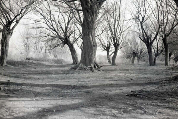 ECO810-Sample3 ECO810-Sample3