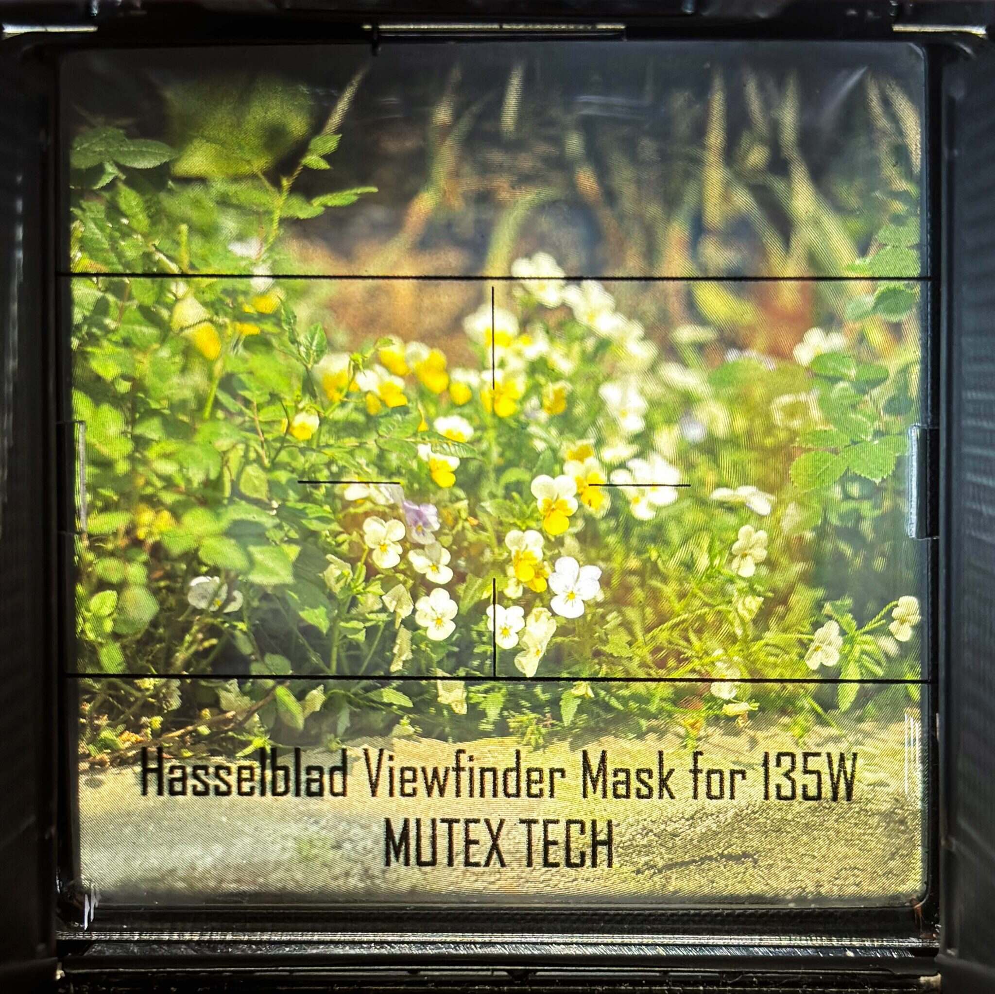 Viewfinder Mask